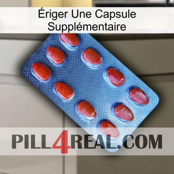 Ériger Une Capsule Supplémentaire 06.jpg